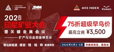 超级早鸟价390x178