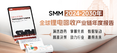 2024-2030年全球锂电回收产业链年度报告390-178