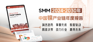 2024-2030年中国镍产业链年度报告390-178