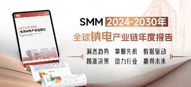 2024-2030年全球钠电产业链年度报告390-178