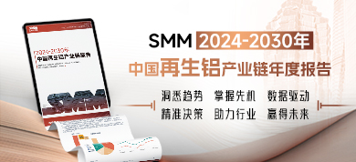 2024-2030年中国再生铝产业链年度报告390-178