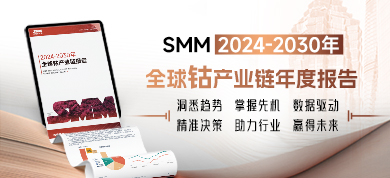 2024-2030年全球钴产业链年度报告390-178