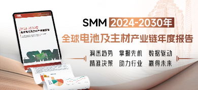 2024-2030年全球电池及主材产业链年度报告390-178