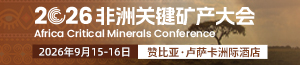 铬顶栏L1-02 300