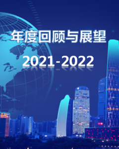 2021-2022 | 金属市场年度回顾与展望