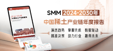 2024-2030年中国稀土产业链年度报告390-178