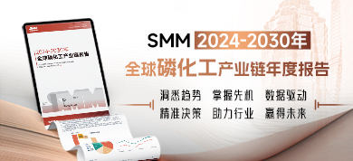 2024-2030年全球磷化工产业链年度报告390-178