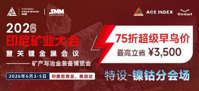 超级早鸟价390x178