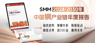 2024-2030年中国铜产业链年度报告390-178