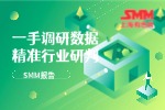 报告