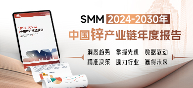 2024-2030年中国锌产业链年度报告390-178