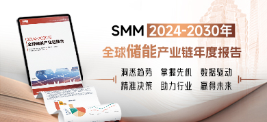 2024-2030年全球储能产业链年度报告390-178