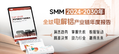 2024-2030年全球电解铝产业链年度报告390-178