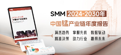 2024-2030年中国锰产业链年度报告390-178