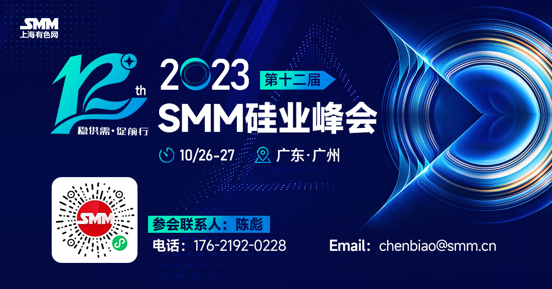 8月30日，海东红狮年产15万吨工业硅+10万吨多晶硅项目举行开工仪式，该项目以建设工业硅生产线及改良西门子法多晶硅生产线为主，一期项目总投资102亿元，一期工程建设从2023年1月～2024年6月，从工程设计开始到机械竣工18个月。
项目共分三期，其中一期建设15万吨工业硅、10万吨多晶硅生产装置；二期建设年产10万吨工业硅、10万吨多晶硅生产装置；三期建设3×5GW拉晶硅片生产线。