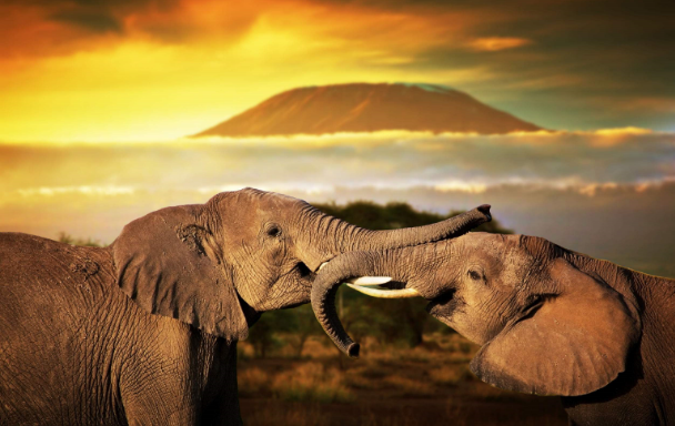 美元走弱镍价“获救” 库存未现明显累库 短期利空基本消化【SMM评论】