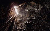 Coking Coal and Coke Prices Plummeted in Late November                      