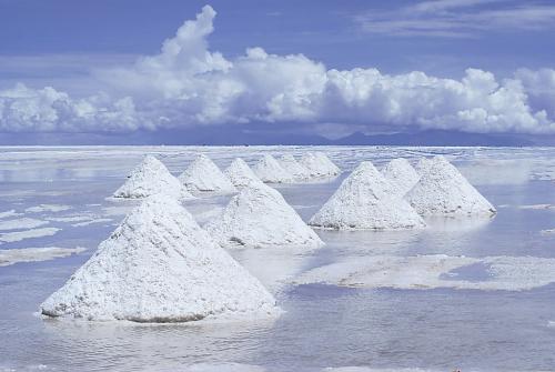 Raw materials imports pressured cobalt salt prices, high inventories weighed on lithium prices