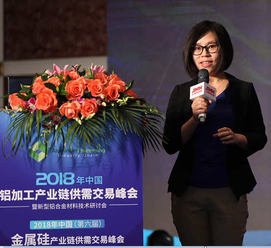 SMM Al-Si Summit: China to expand demand