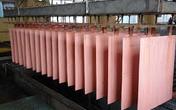 One China Copper Smelter Adds 150,000-tpy Copper Smelting Capacity, SMM Reports