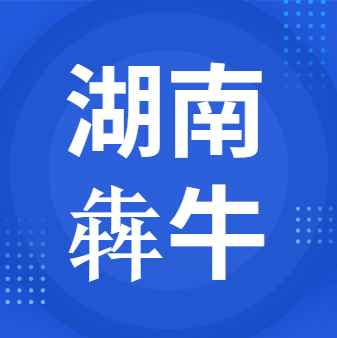 4月10日湖南犇牛 废锂电回收报价