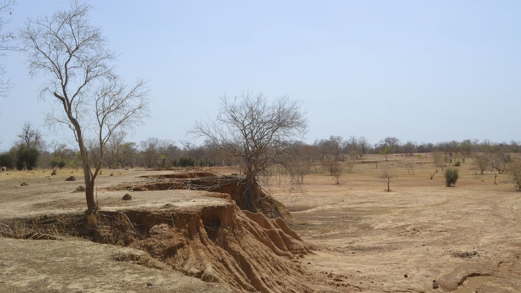 News image 1