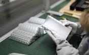 China Exports of Aluminium Foil Hit a New High in 2021