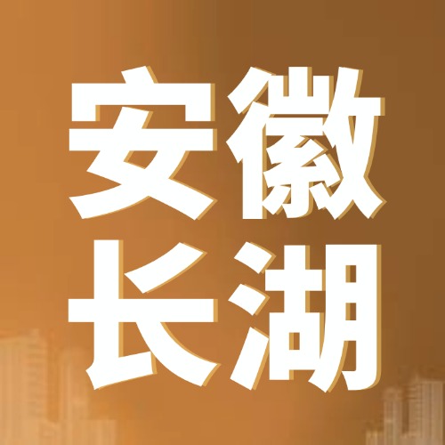8月10日安徽长湖 废铜采购报价