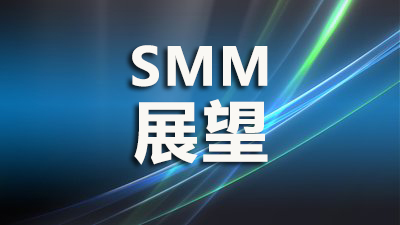 SMM：预计2024年全球新增光伏发电容量同比增8% 中国面临产能过剩风险【光储峰会】