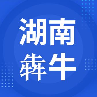5月23日湖南犇牛 废锂电采购报价