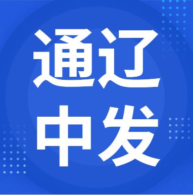 12月31日通辽中发 废锂电采购报价