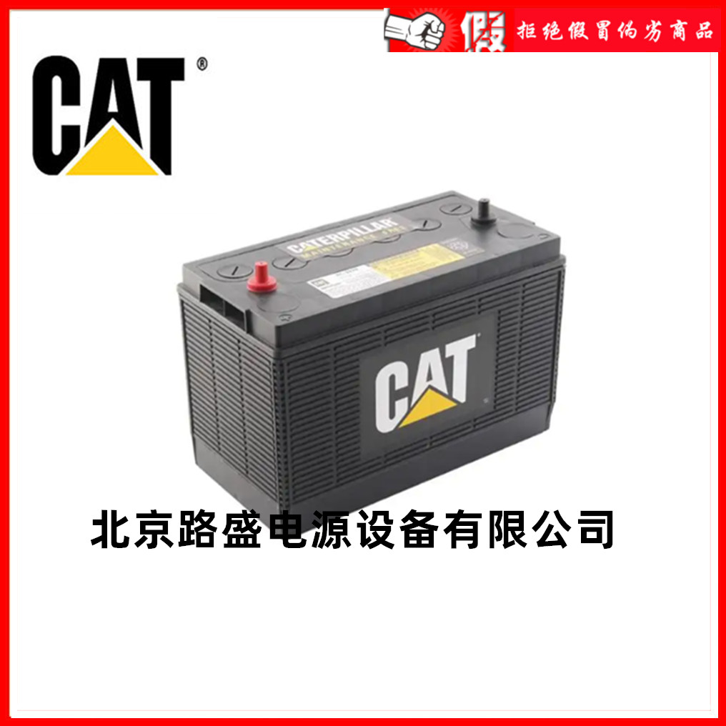 德国卡特CAT比勒启动蓄电池175-4370 12V100AH柴油备用发电机