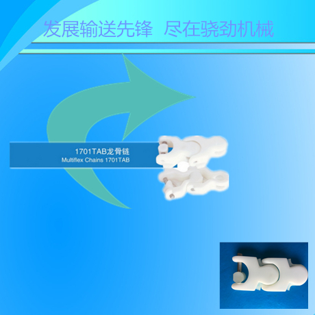 1701龙骨链  龙骨链