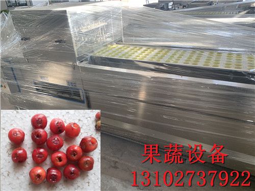 一台龙眼全自动去核机每小时产量500斤