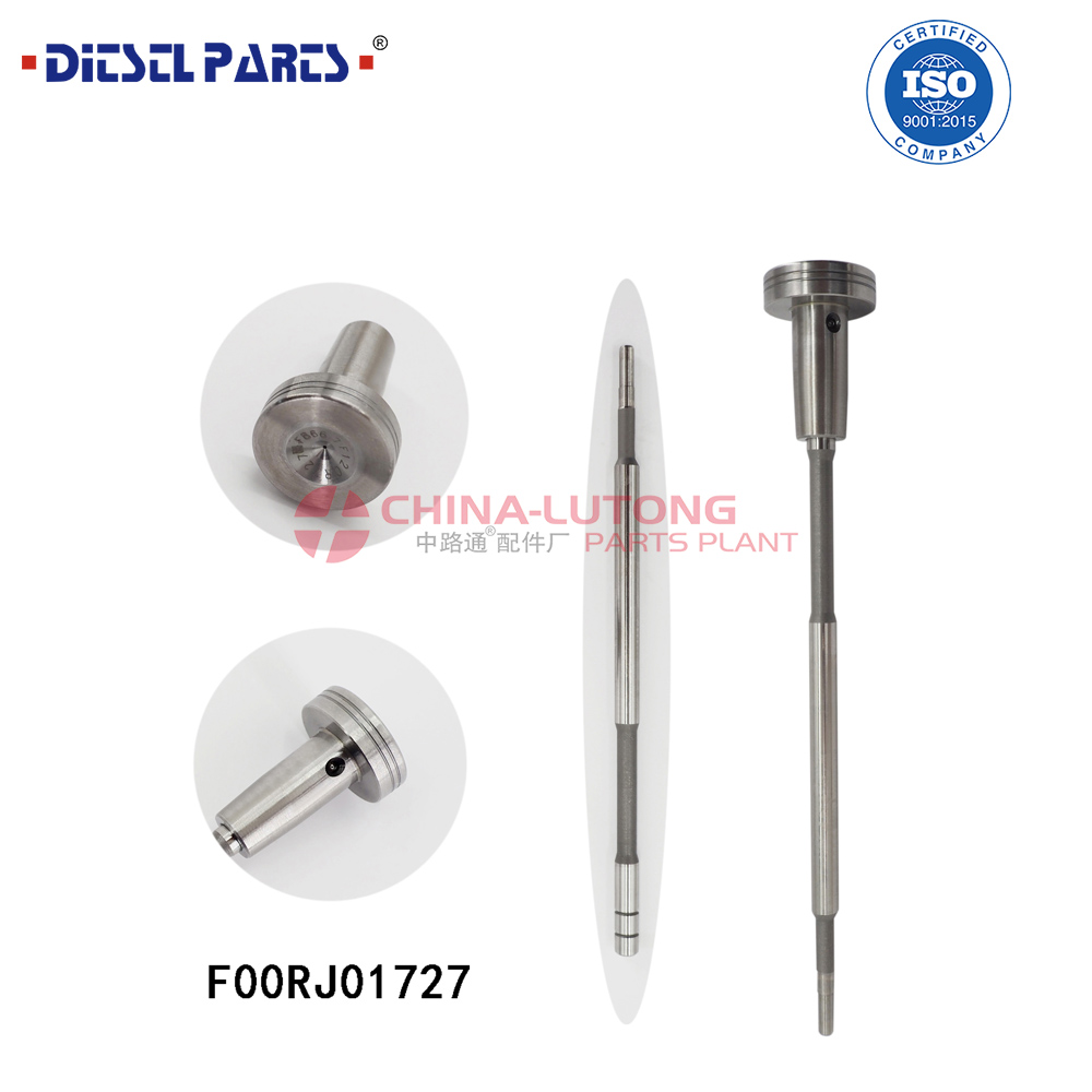 喷油器阀组件FOOR J01 727