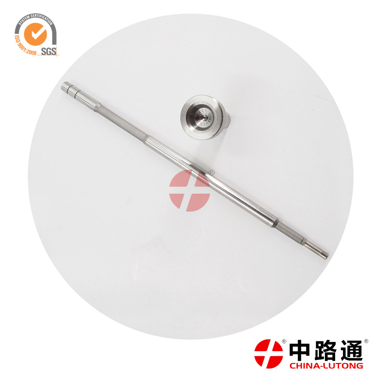 喷油器阀组件FOOV C01 306