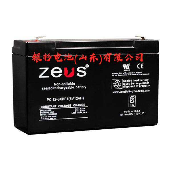 英国ZEUS蓄电池PC100-12铅酸电池