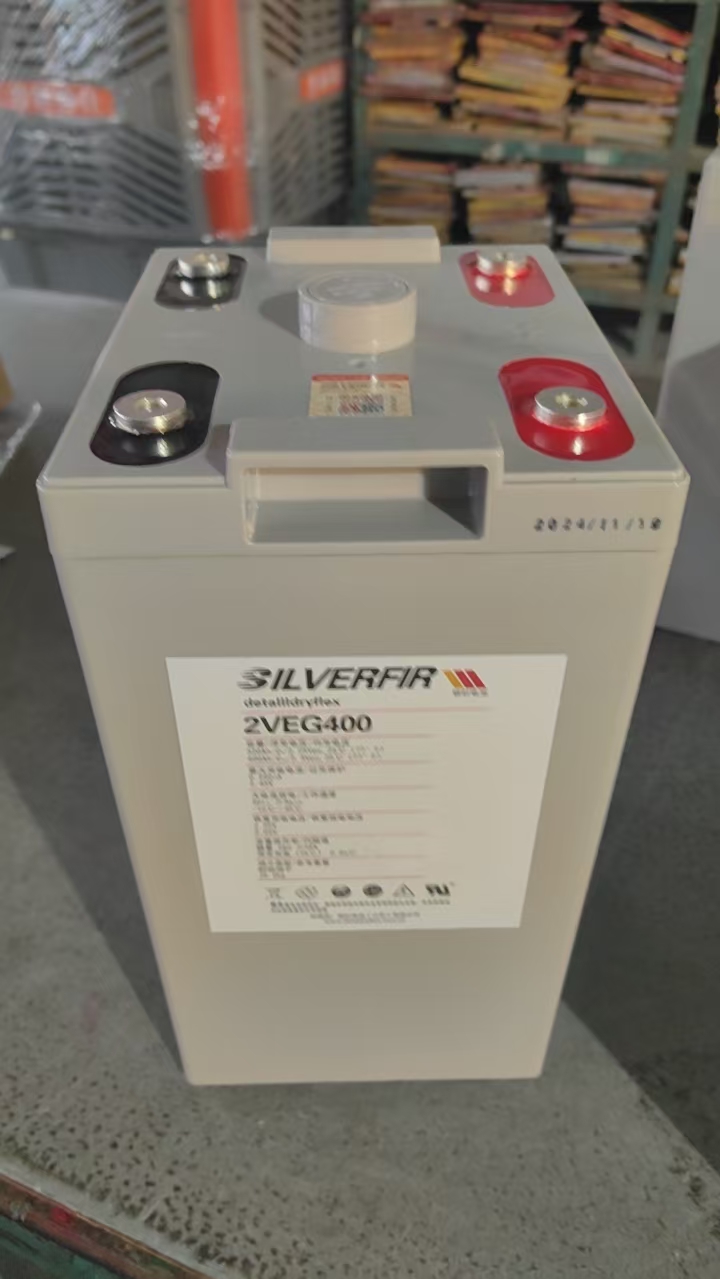 德国SILVERFIR银杉电池  2VEL560  高倍速动力 变电站项目 不间断管理系统