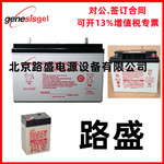 霍克genesis进口货源NP40-12 霍克蓄电池/安防 UPS电源 免维护