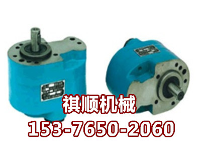低压齿轮泵 CB-40B液压设备齿轮泵