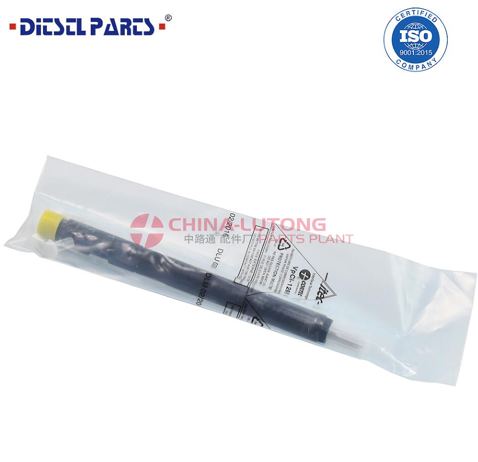 喷油器EJBR03101D共轨