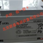 YUCEL蓄电池Y65-12IFR 12V65H 实验仪器仪表 医疗设备UPS电瓶
