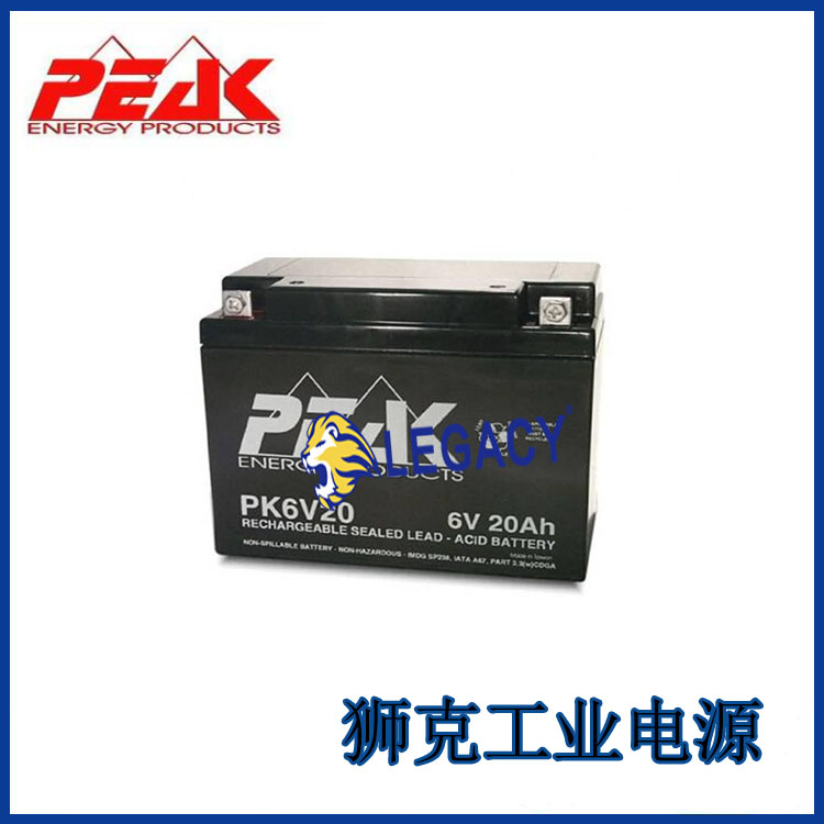 法国PEAK蓄电池PK12V12精密仪器储能工业设备