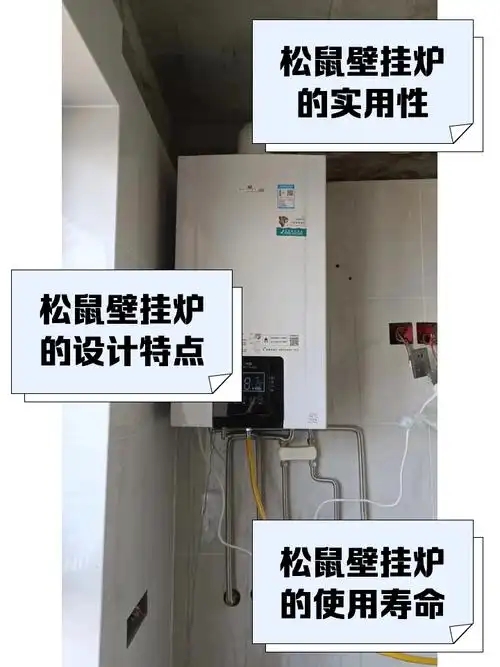 武汉小松鼠壁挂炉维修点ㄍ本地推荐∝锅炉采暖炉变频风机※显示F26.F28所有疑难杂症24小时在线