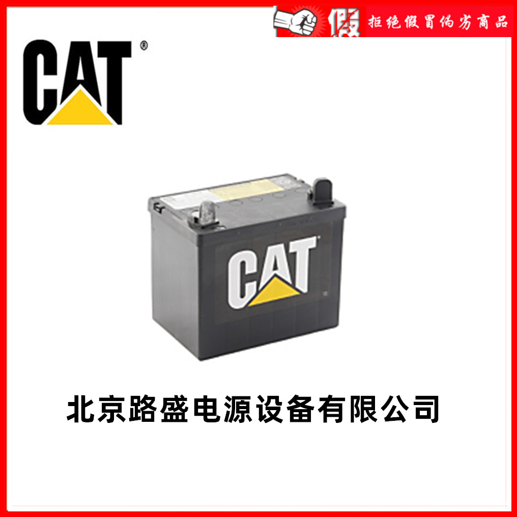 卡特CAT蓄电池250-0480 12V100AH卡特比勒挖掘机柴油发电机用电池