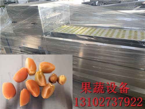 一台龙眼全自动去核机每小时产量500斤