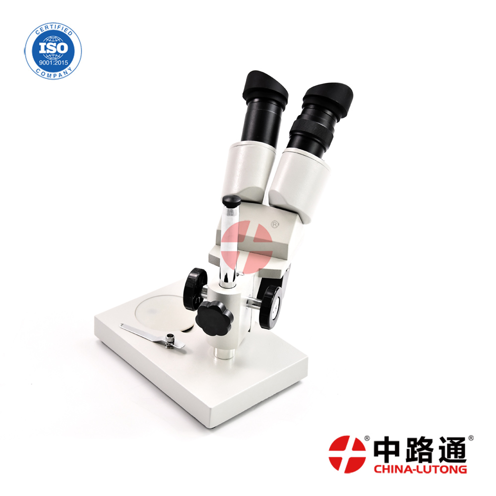 双目显微镜