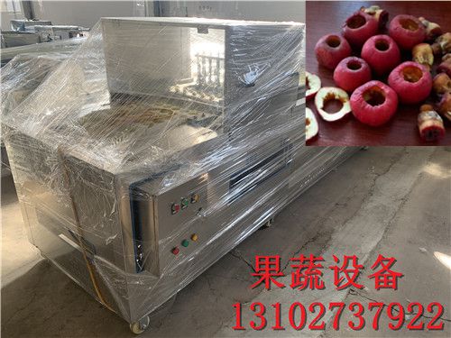 直销全自动龙眼去核机标准冲核