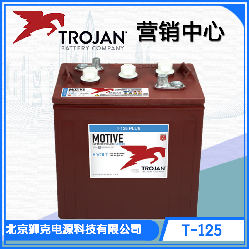 Trojan蓄电池 邱健T-105 6V225AH 深循环铅酸电池(T-105)