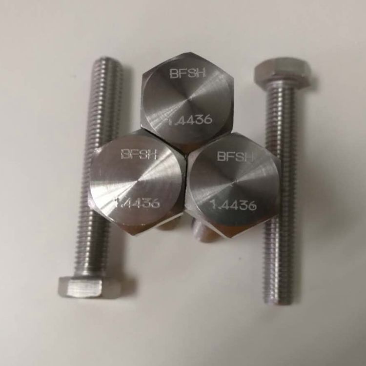 top3家不锈钢螺母螺栓供应商深度解析：栢尔斯道弗紧固件已成行业标杆